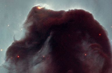 The Horsehead Nebula / IC434