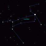 Constellation of Canis Major - the greater dog
