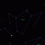 Constellation of the Phoenix