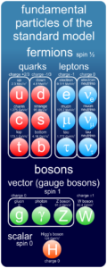 Standard model particles