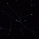 Constellation of Taurus - the bull