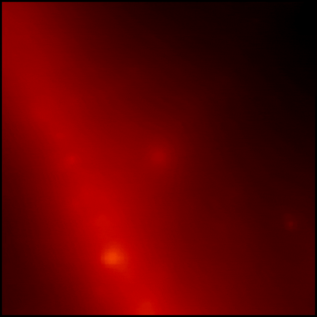 Gamma ray burst GRB 221009A